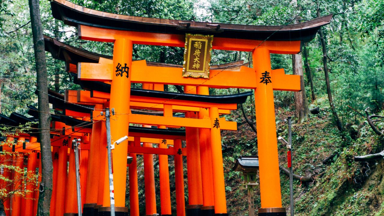 Shokuese, por e vërtetë: 5 qytete ku ‘vdekja’ është në të vërtetë e paligjshme