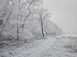 moti - 2026-02-04T092712.420