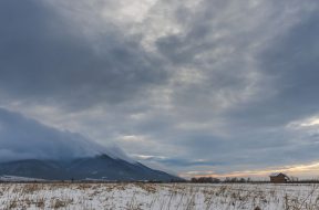 moti - 2026-02-05T103311.967